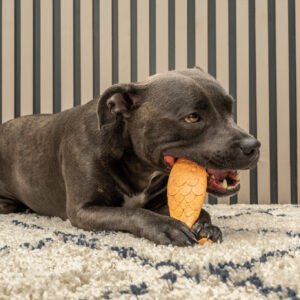 Bamboodles Fish Chew